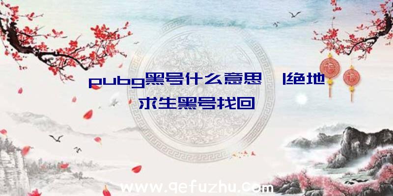 「pubg黑号什么意思」|绝地求生黑号找回